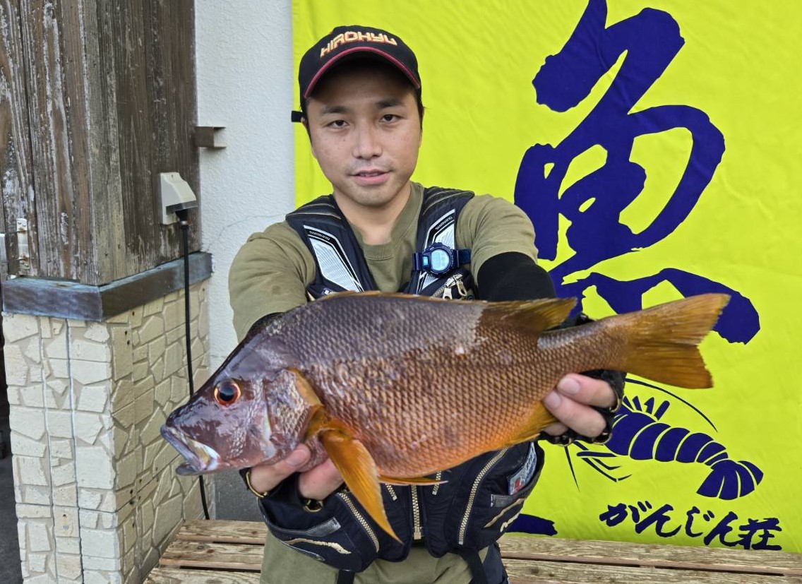 秋目夜釣り釣行