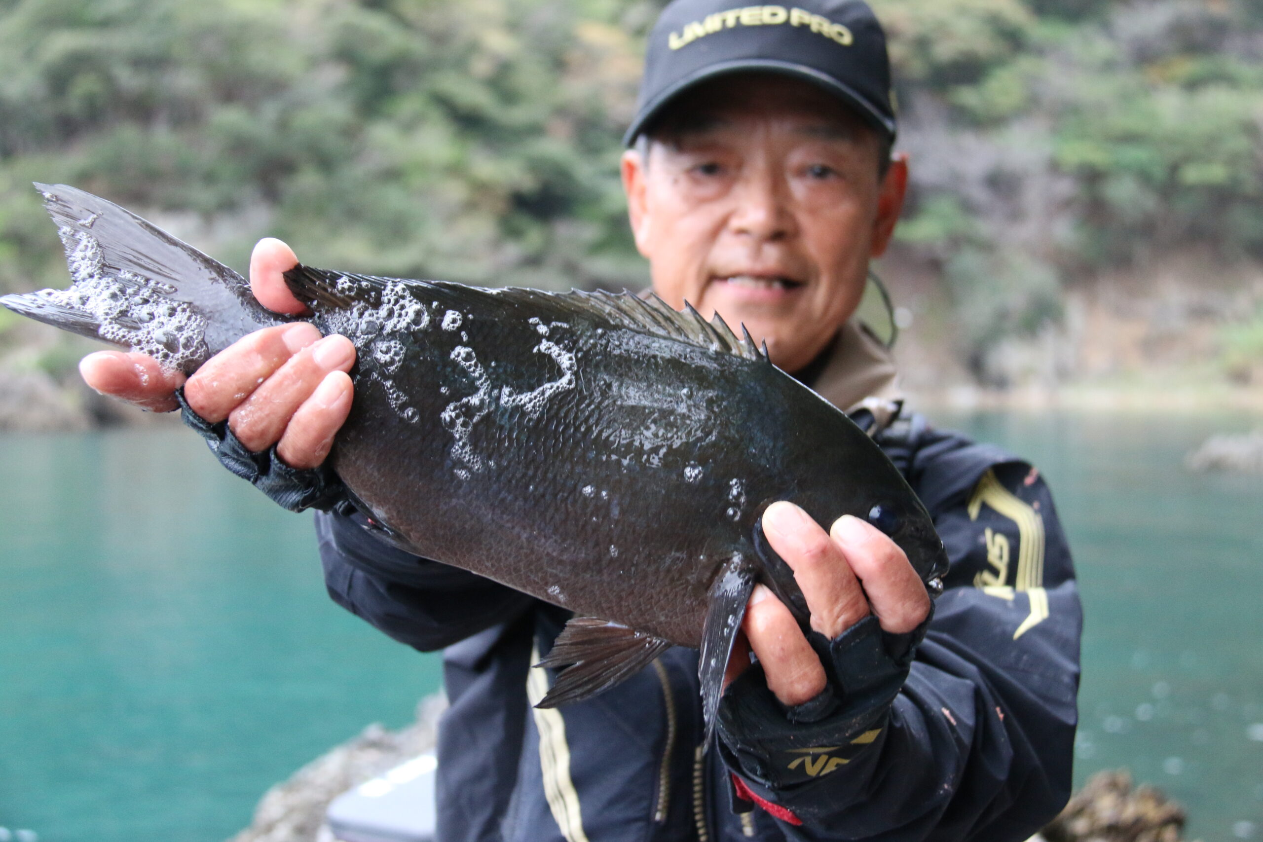 西伊豆・田子への釣行