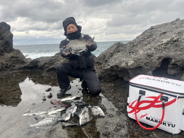 寒チヌの最盛期