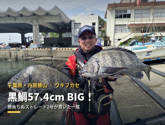 【千葉・内房勝山】57.4cm超BIG黒鯛キャッチ！勝負ちぬストレートタイプ2号で確かな信頼